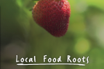 local-food-roots-300x300-300x284.png